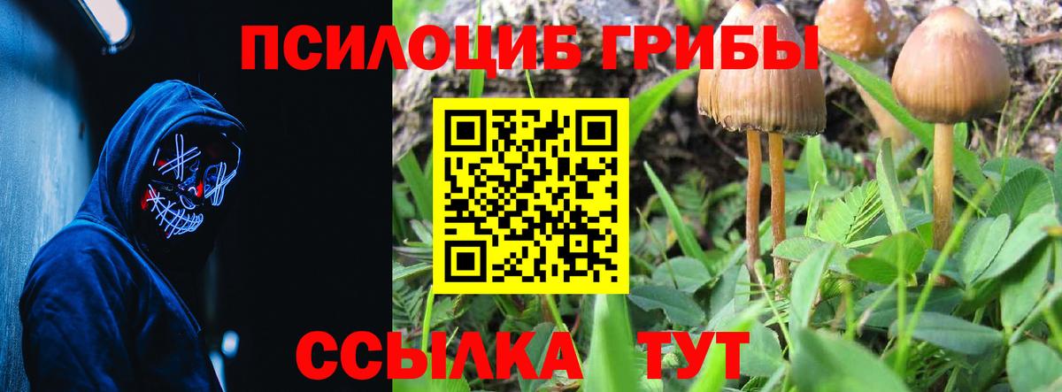 Галлюциногенные грибы GOLDEN TEACHER  Галлюциногенные грибы Magic Shrooms  хочу   Саянск  Вход с VPN 